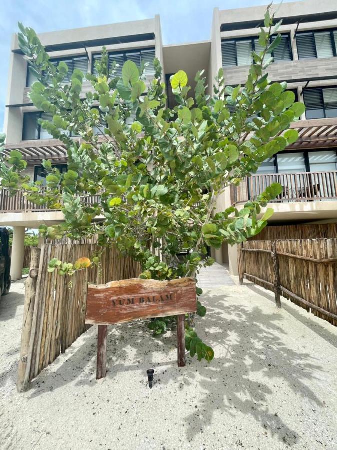 Ferienwohnung Incredible Ocean View Penthouse With Private Pool By Baleine Group Isla Holbox Exterior foto